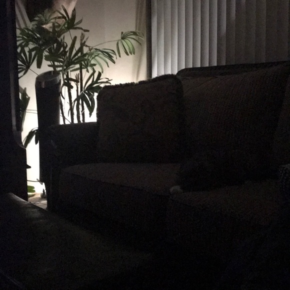 Meet your Posher, Sandy - Picture 1 of 1